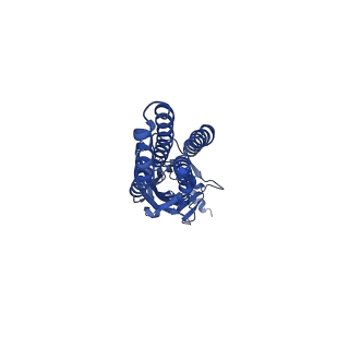 13290_7pbd_D_v1-0
a1b3 GABA-A receptor + GABA