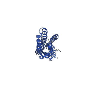 13290_7pbd_D_v2-2
a1b3 GABA-A receptor + GABA