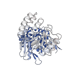 13293_7pbj_Ad_v1-1
Cryo-EM structure of the GroEL-GroES complex with ADP bound to both rings ("wide" conformation).