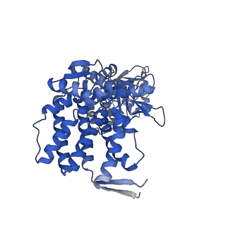 13293_7pbj_Ae_v1-1
Cryo-EM structure of the GroEL-GroES complex with ADP bound to both rings ("wide" conformation).