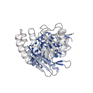 13293_7pbj_Ak_v1-1
Cryo-EM structure of the GroEL-GroES complex with ADP bound to both rings ("wide" conformation).