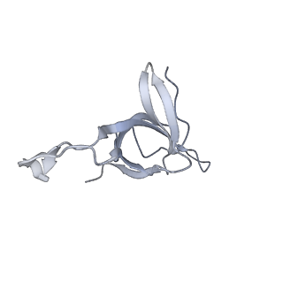 13293_7pbj_Am_v1-1
Cryo-EM structure of the GroEL-GroES complex with ADP bound to both rings ("wide" conformation).