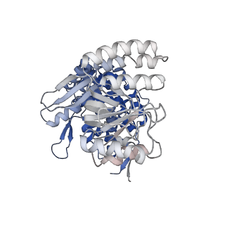 13293_7pbj_Ar_v1-1
Cryo-EM structure of the GroEL-GroES complex with ADP bound to both rings ("wide" conformation).