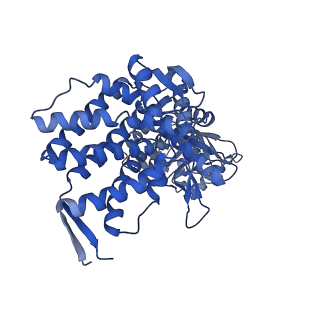 13293_7pbj_As_v1-1
Cryo-EM structure of the GroEL-GroES complex with ADP bound to both rings ("wide" conformation).