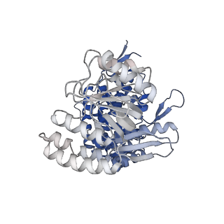 13293_7pbj_Ay_v1-1
Cryo-EM structure of the GroEL-GroES complex with ADP bound to both rings ("wide" conformation).