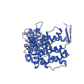 13293_7pbj_Az_v1-1
Cryo-EM structure of the GroEL-GroES complex with ADP bound to both rings ("wide" conformation).