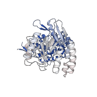 13293_7pbj_Bf_v1-1
Cryo-EM structure of the GroEL-GroES complex with ADP bound to both rings ("wide" conformation).