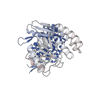 13293_7pbj_Bm_v1-1
Cryo-EM structure of the GroEL-GroES complex with ADP bound to both rings ("wide" conformation).