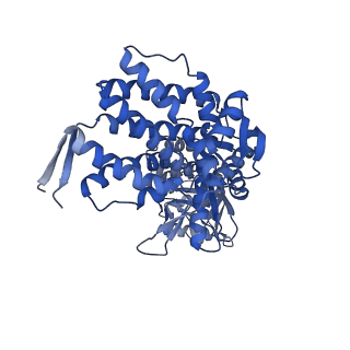 13293_7pbj_Bn_v1-1
Cryo-EM structure of the GroEL-GroES complex with ADP bound to both rings ("wide" conformation).