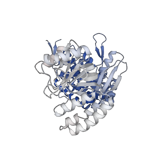 13293_7pbj_Bt_v1-1
Cryo-EM structure of the GroEL-GroES complex with ADP bound to both rings ("wide" conformation).
