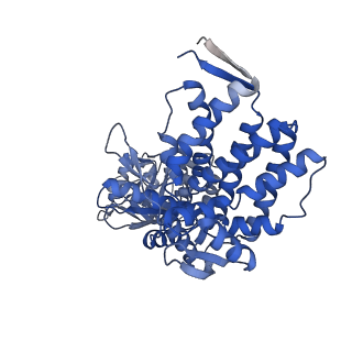 13293_7pbj_Bu_v1-1
Cryo-EM structure of the GroEL-GroES complex with ADP bound to both rings ("wide" conformation).