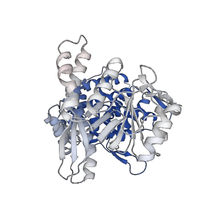 13308_7pbx_Ac_v1-1
Cryo-EM structure of the GroEL-GroES complex with ADP bound to both rings ("tight" conformation).