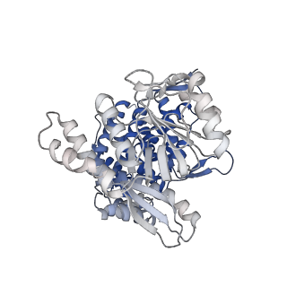 13308_7pbx_Ai_v1-1
Cryo-EM structure of the GroEL-GroES complex with ADP bound to both rings ("tight" conformation).