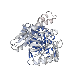 13308_7pbx_Ao_v1-1
Cryo-EM structure of the GroEL-GroES complex with ADP bound to both rings ("tight" conformation).