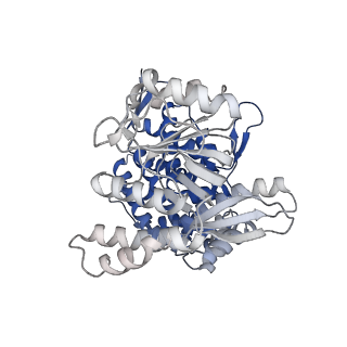 13308_7pbx_Au_v1-1
Cryo-EM structure of the GroEL-GroES complex with ADP bound to both rings ("tight" conformation).