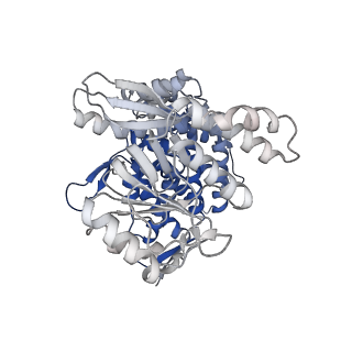 13308_7pbx_Ba_v1-1
Cryo-EM structure of the GroEL-GroES complex with ADP bound to both rings ("tight" conformation).