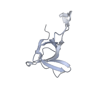 13308_7pbx_Bd_v1-1
Cryo-EM structure of the GroEL-GroES complex with ADP bound to both rings ("tight" conformation).