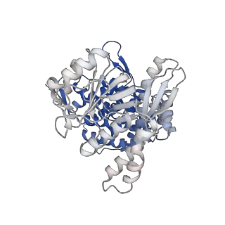 13308_7pbx_Bg_v1-1
Cryo-EM structure of the GroEL-GroES complex with ADP bound to both rings ("tight" conformation).