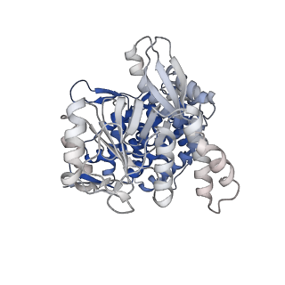 13308_7pbx_Bm_v1-1
Cryo-EM structure of the GroEL-GroES complex with ADP bound to both rings ("tight" conformation).