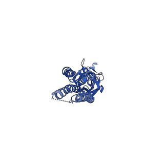 13314_7pbz_C_v1-3
a1b3 GABA-A receptor + GABA + Zn2+