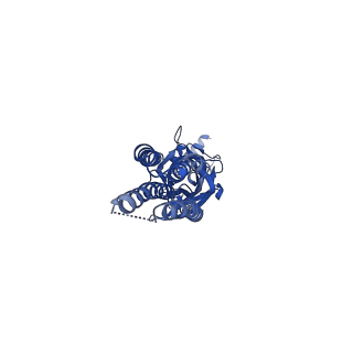 13314_7pbz_C_v2-0
a1b3 GABA-A receptor + GABA + Zn2+