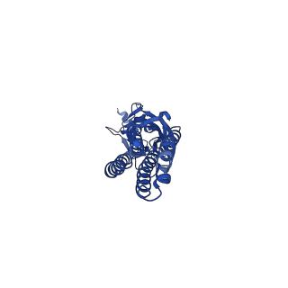 13314_7pbz_D_v1-3
a1b3 GABA-A receptor + GABA + Zn2+