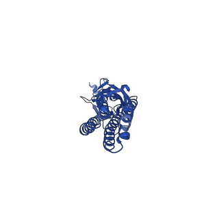 13314_7pbz_D_v2-0
a1b3 GABA-A receptor + GABA + Zn2+