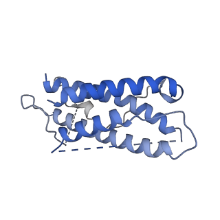 17580_8pb1_A_v1-0
Cryo-EM structure of a pre-dimerized murine IL-12 complete extracellular signaling complex (Class 1), obtained after local refinement.