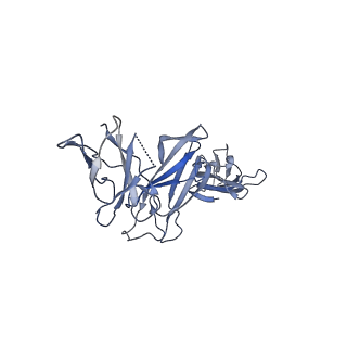 17580_8pb1_B_v1-0
Cryo-EM structure of a pre-dimerized murine IL-12 complete extracellular signaling complex (Class 1), obtained after local refinement.