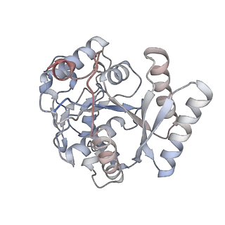 17581_8pb9_A_v1-0
Cryo-EM structure of the c-di-GMP-bound FleQ-FleN master regulator complex from Pseudomonas aeruginosa