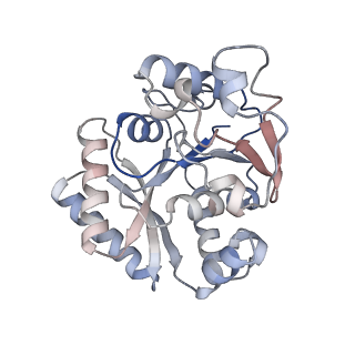 17581_8pb9_B_v1-0
Cryo-EM structure of the c-di-GMP-bound FleQ-FleN master regulator complex from Pseudomonas aeruginosa