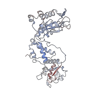 17581_8pb9_D_v1-0
Cryo-EM structure of the c-di-GMP-bound FleQ-FleN master regulator complex from Pseudomonas aeruginosa