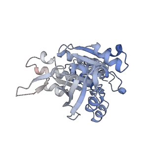 17584_8pbc_C_v1-0
RAD51 filament on ssDNA bound by the BRCA2 c-terminus