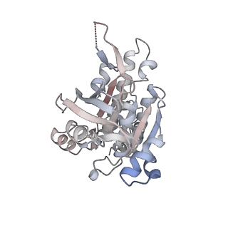17584_8pbc_K_v1-0
RAD51 filament on ssDNA bound by the BRCA2 c-terminus