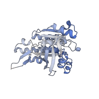 17585_8pbd_A_v1-0
RAD51 filament on dsDNA bound by the BRCA2 c-terminus
