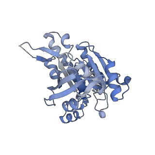 17585_8pbd_B_v1-0
RAD51 filament on dsDNA bound by the BRCA2 c-terminus