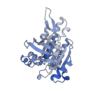 17585_8pbd_C_v1-0
RAD51 filament on dsDNA bound by the BRCA2 c-terminus