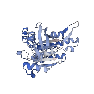 17585_8pbd_D_v1-0
RAD51 filament on dsDNA bound by the BRCA2 c-terminus