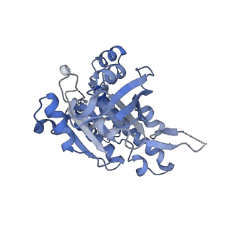 17585_8pbd_E_v1-0
RAD51 filament on dsDNA bound by the BRCA2 c-terminus