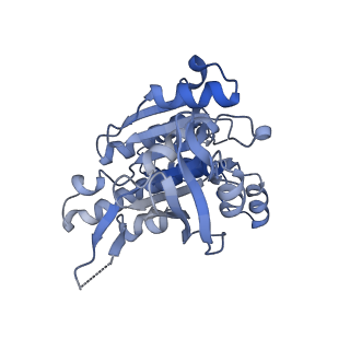 17585_8pbd_G_v1-0
RAD51 filament on dsDNA bound by the BRCA2 c-terminus