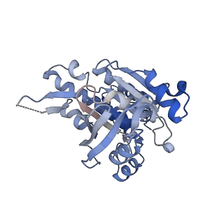 17585_8pbd_H_v1-0
RAD51 filament on dsDNA bound by the BRCA2 c-terminus