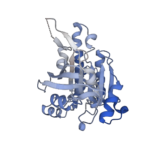 17585_8pbd_I_v1-0
RAD51 filament on dsDNA bound by the BRCA2 c-terminus