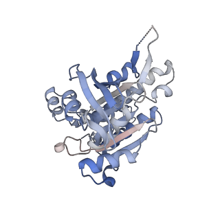 17585_8pbd_J_v1-0
RAD51 filament on dsDNA bound by the BRCA2 c-terminus