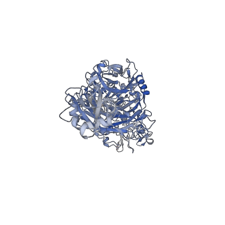 17587_8pbx_A_v1-1
Single particle cryo-EM of the P140-P110 heterodimer of Mycoplasma genitalium at 3.3 Angstrom resolution.