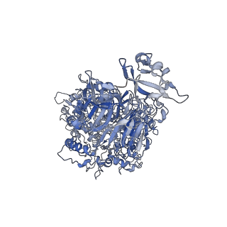 17587_8pbx_B_v1-1
Single particle cryo-EM of the P140-P110 heterodimer of Mycoplasma genitalium at 3.3 Angstrom resolution.
