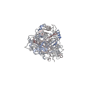 17588_8pby_A_v1-1
Single particle cryo-EM of the P140-P110 heterodimer with an alternative conformation in the P140 stalk of Mycoplasma genitalium at a resolution of 3.7 Angstrom.