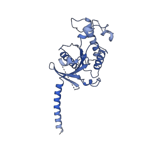 20284_6pb0_A_v1-1
Cryo-EM structure of Urocortin 1-bound Corticotropin-releasing factor 1 receptor in complex with Gs protein and Nb35