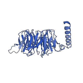 20284_6pb0_B_v1-1
Cryo-EM structure of Urocortin 1-bound Corticotropin-releasing factor 1 receptor in complex with Gs protein and Nb35