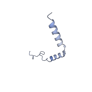 20284_6pb0_G_v1-1
Cryo-EM structure of Urocortin 1-bound Corticotropin-releasing factor 1 receptor in complex with Gs protein and Nb35