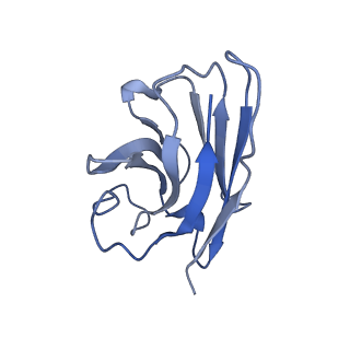 20284_6pb0_N_v1-1
Cryo-EM structure of Urocortin 1-bound Corticotropin-releasing factor 1 receptor in complex with Gs protein and Nb35